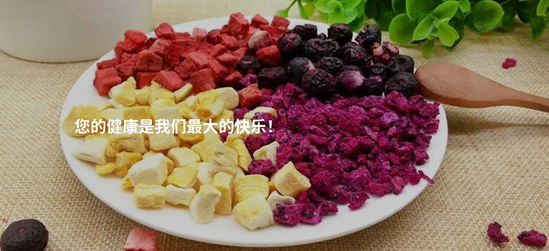 Healthchem 食品原料与配料