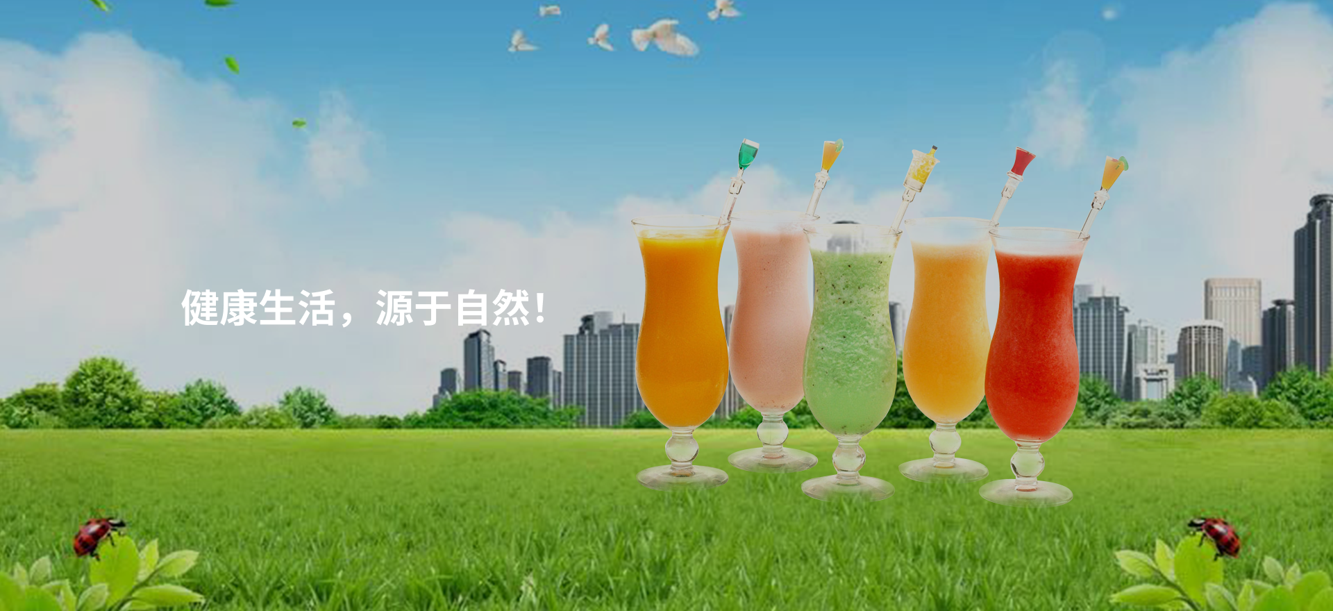 Healthchem 食品原料与配料
